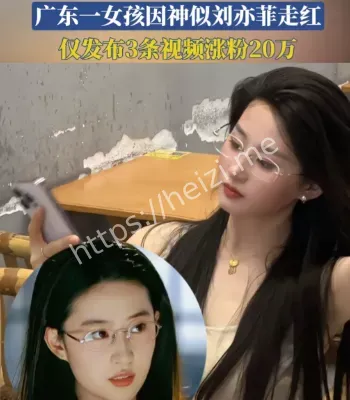 女孩神似刘亦菲