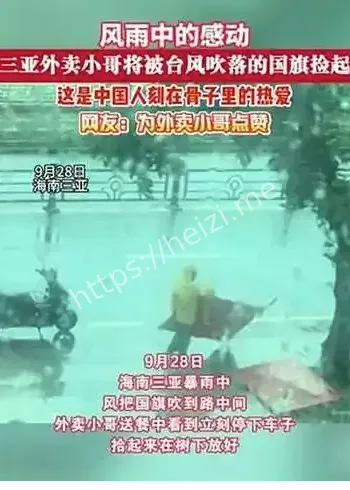 茂名台风外卖员树砸死谣言