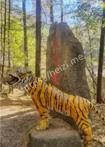 贵州金沙老虎谣言